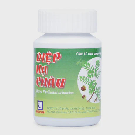 Viên nang cứng Diệp Hạ Châu bảo vệ và điều trị suy giảm chức năng gan (chai 60 viên)